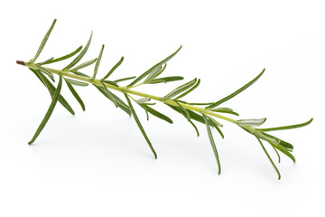 Fototapeta premium Rosemary isolated on white background, Top view.