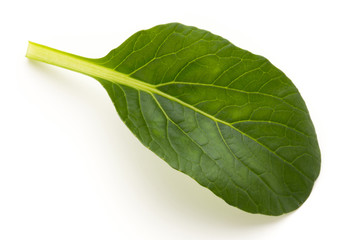 Spinach leaves close up isolated on white.