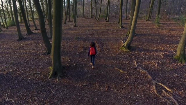 4K Aerial drone clip of teenage young woman hiking with red backpack in forest woodland 