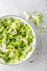 fresh crunchy juicy lettuce Frize