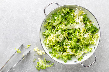 fresh crunchy juicy lettuce Frize