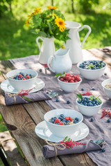 Healthy granola with berry fruits and milk in summer