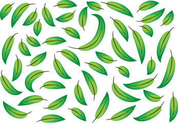 Fototapeta premium leaf background