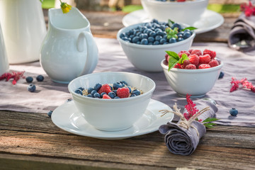 Closeup of granola with berry fruits and milk in summer