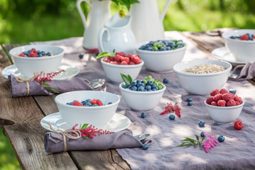 Fresh granola with berry fruits and milk in summer