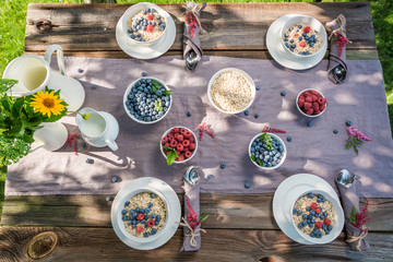 Tasty granola with raspberries and blueberries in summer