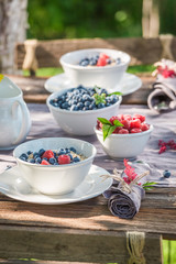 Tasty breakfast with raspberries and blueberries in garden