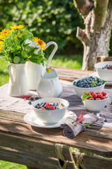 Healthy granola with raspberries and blueberries in garden