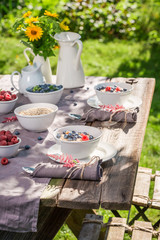 Fresh granola with berries and milk served in the garden