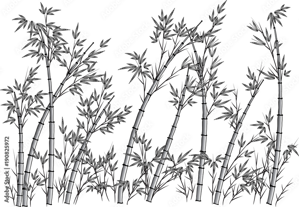 Wall mural bamboo tree