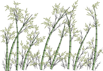 bamboo tree