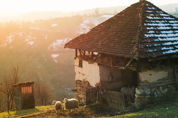Traditional Serbian rustic sheep barn