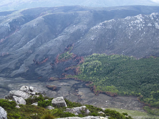 A distant view of a recent forest fire and untouched forest next to it. Western Arthurs, Tasmania.
