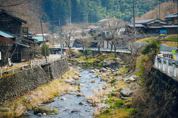 養沢川の景色