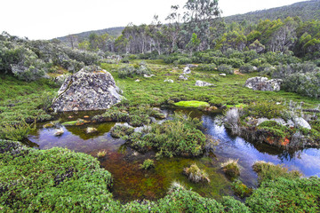 Backcountry scenery in the Walls of Jerusalem National Park, Tasmania.