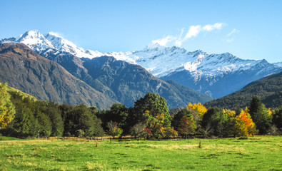 Green grassy fields and autumn-colored trees lie below massive icy peaks in the Matukituki Valley on New Zealand's south island.