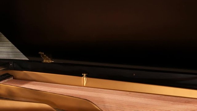 Piano Sounding Board