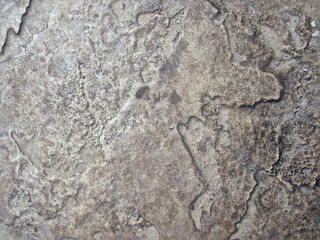 Close-up of Wall Texture