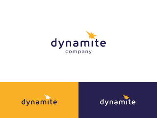 05 Dynamite logo, creative studio or startup.