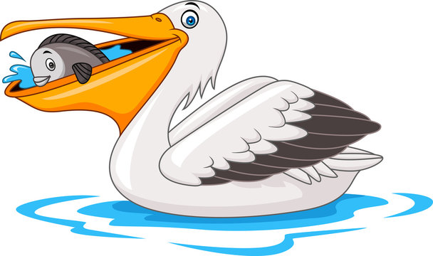 Pelican Cartoon Images – Browse 4,718 Stock Photos, Vectors, and Video | Adobe Stock Pelican Cartoon Images – Browse 4,718 Stock Photos, Vectors, and Video | Adobe Stock