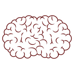  brain science mind intelligence mental design creative think vector illustration