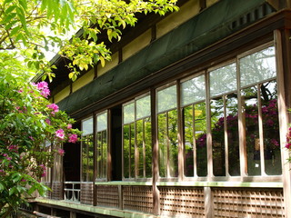 古家の大正硝子に映えるツツジ