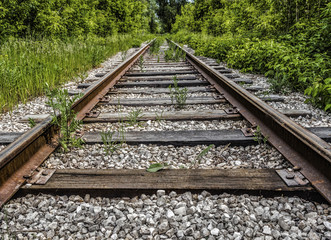 Obraz premium Old abandoned railroad goes away into the distance through a thick forest.