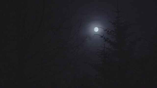 Full Moon at Midnight in the country