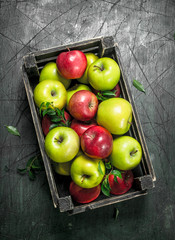 Fresh apples with leaves in a box.