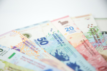 Obraz na płótnie Canvas argentine money with white background
