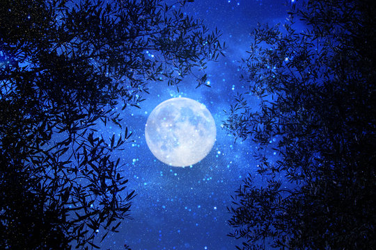 Surreal fantasy concept - full moon with stars glitter in night skies background.