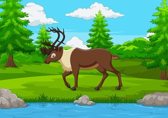 Cartoon elk in the forest © tigatelu