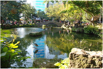Fototapeta na wymiar 228 Peace Memorial Park in the city center of Taipei, Taiwan