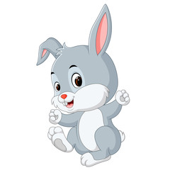 Cute baby rabbit cartoon
