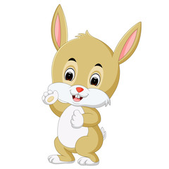 Cute rabbit cartoon
