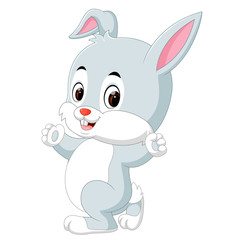 Cute rabbit cartoon