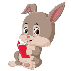 Rabbit cartoon holding book