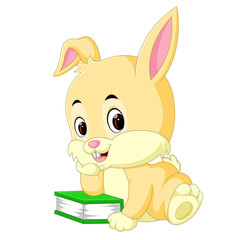 Rabbit cartoon holding book