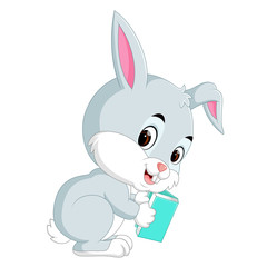 Rabbit cartoon holding book