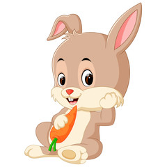 Cartoon happy rabbit holding carrot