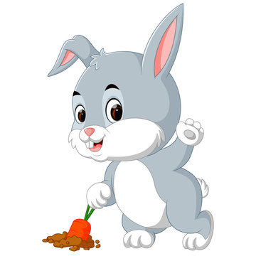 cute rabbit harvest carrot