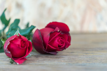 Red rose flower on wooden floor in Valentine's Day