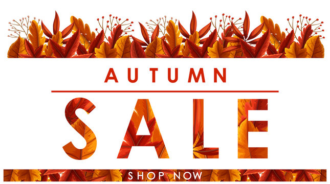 Autumn sale poster with leaves on white background