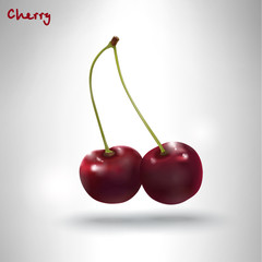 Realistic cherry branch, sweet cherry, ripe 3D realistic cherry isolated on white background