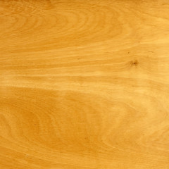 Obraz premium Vector wood texture