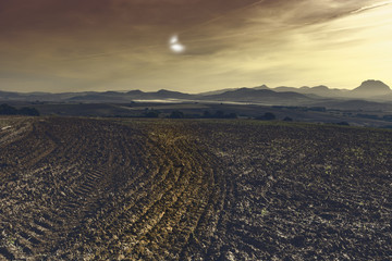 Naklejka premium Mystical light over the fields