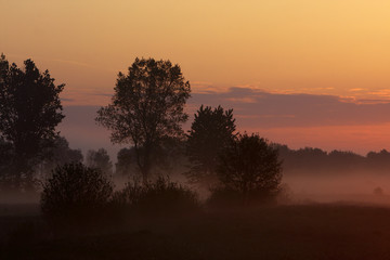 Panoramic view of colorful sunrise over wetlands and meadows wildlife refuge by the Biebrza river in Poland