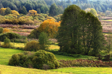 Autumn panoramic landscape of colorful woods and meadows in Liwiec river valley near town of Liw in central Poland