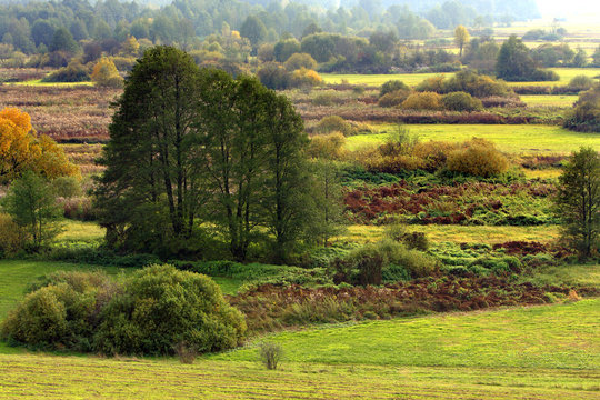 Autumn panoramic landscape of colorful woods and meadows in Liwiec river valley near town of Liw in central Poland