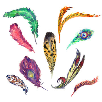 Different shapes and colors feathers collection, hand painted watercolor illustration isolated on white